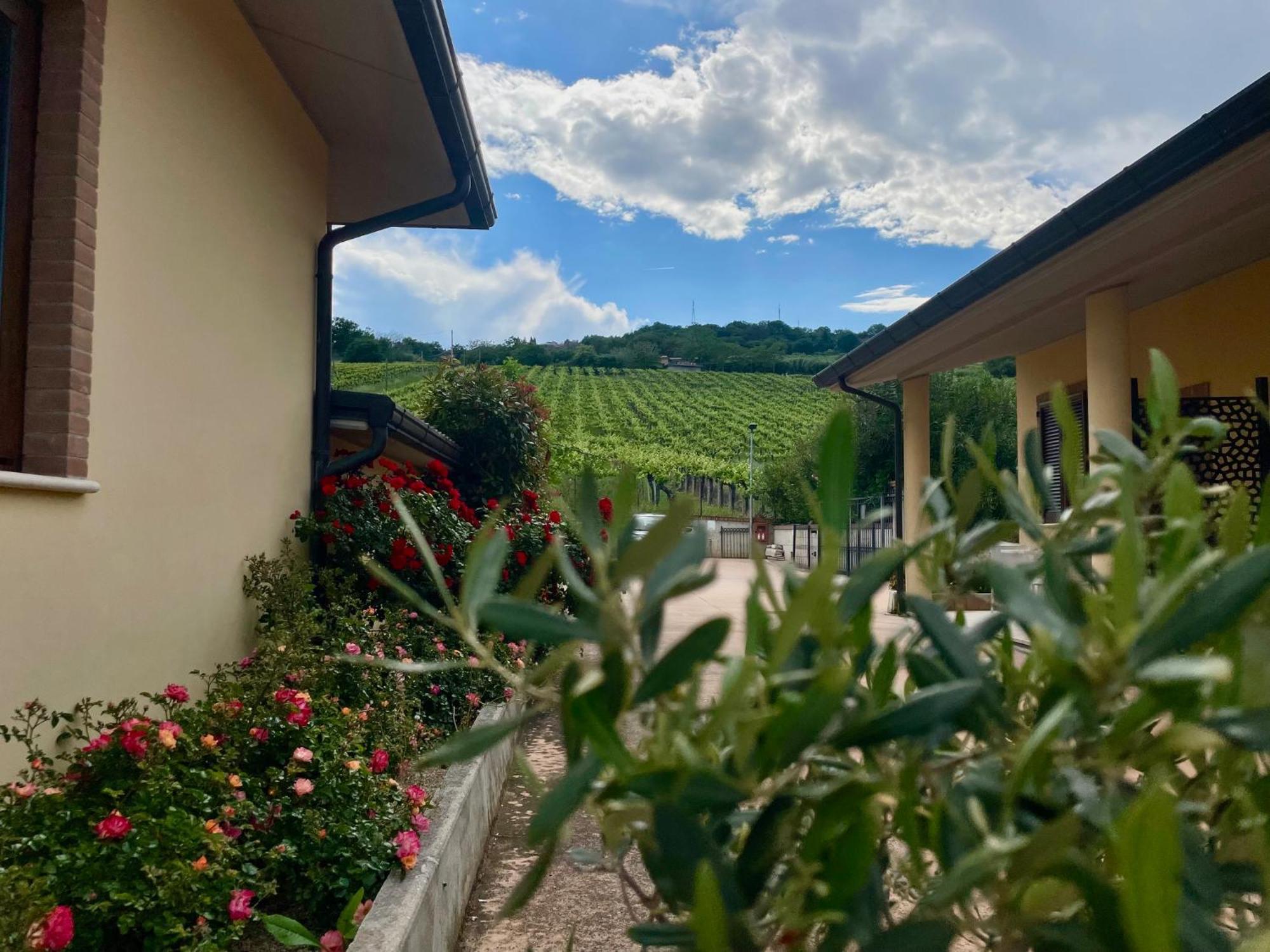 Vigneto - Italian Restaurant & B&B Villa Rosa Di Martinsicuro Exterior photo